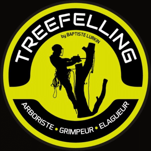 Treefelling - Baptiste Lurkin