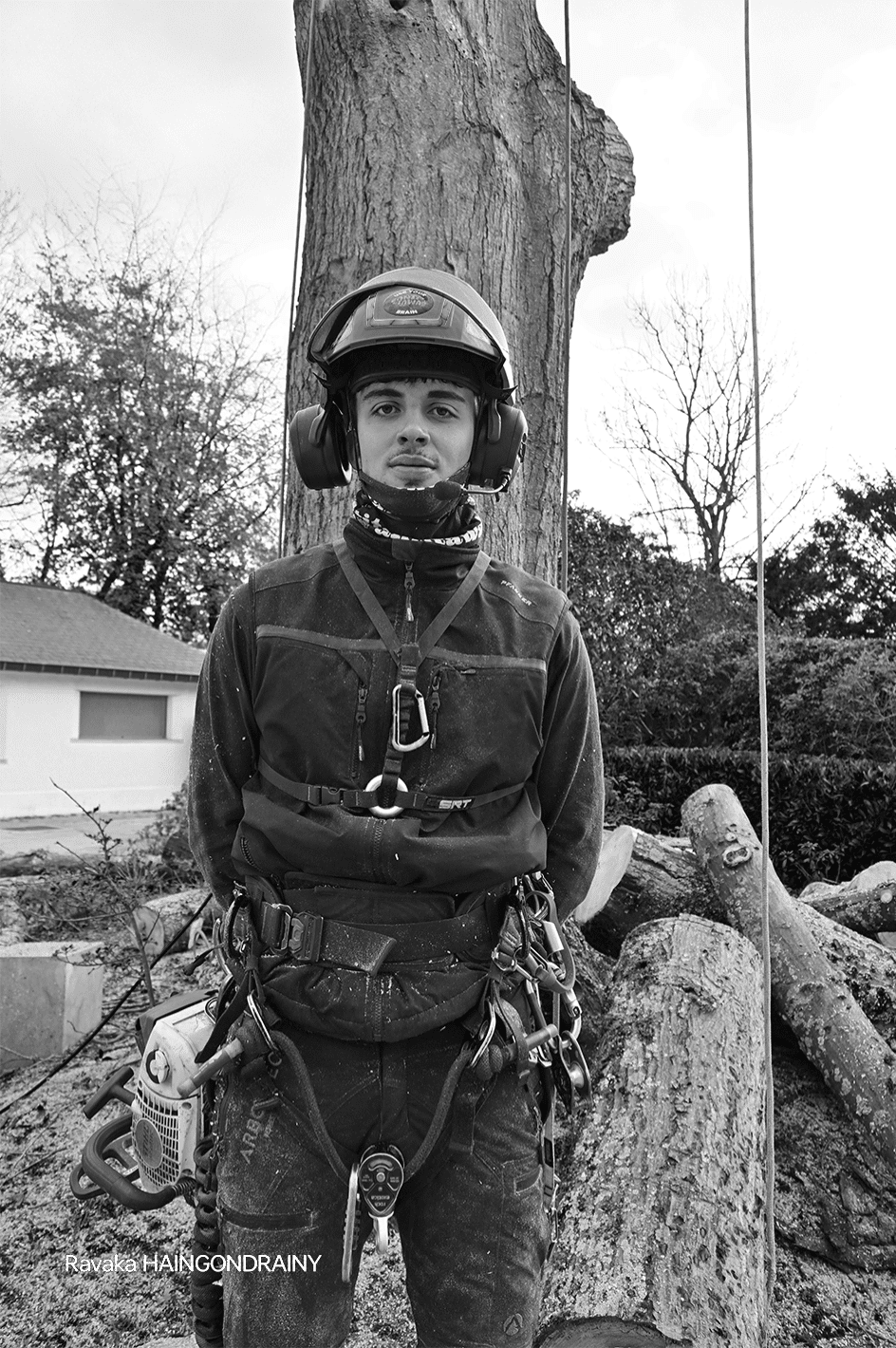 Treefelling Baptiste Lurkin